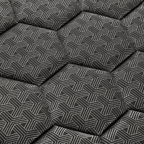 Black Titan Black Edition