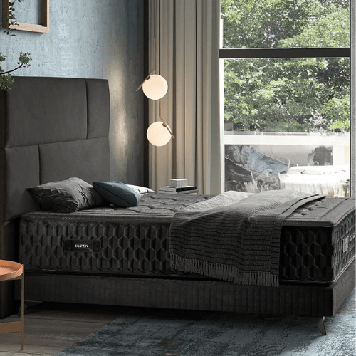 Black Titan Black Edition