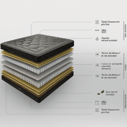 Black Titan Black Edition